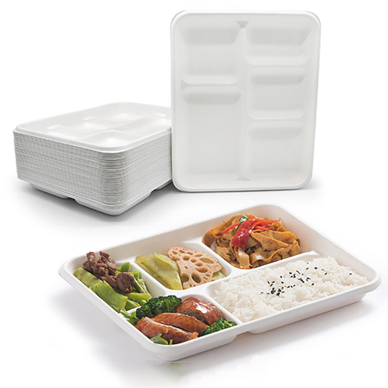Divided Plates 5 Compartment White Serving Tray
